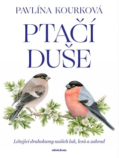 obálka: Ptačí duše