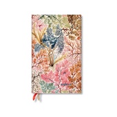 obálka: D2023/24 Anemone Maxi VER