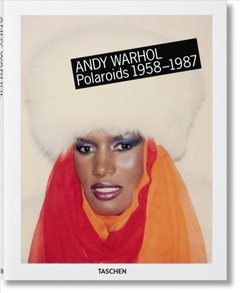 obálka: Warhol, Polaroids