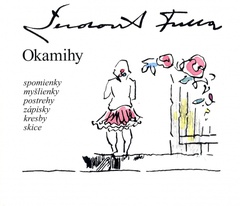 obálka: Okamihy  spomienky myšlienky postrehy zápisky kresby skice