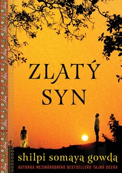 obálka: Zlatý syn