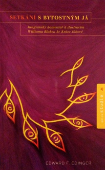 obálka: SETKÁNÍ S BYTOSTNÝM JÁ 