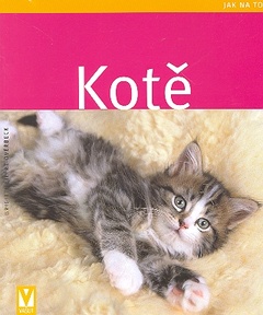 obálka: Kotě 