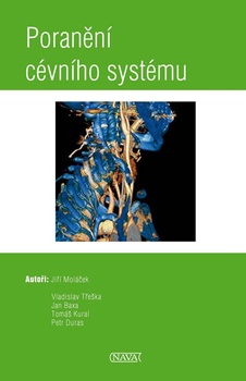 obálka: Poranění cévního systému