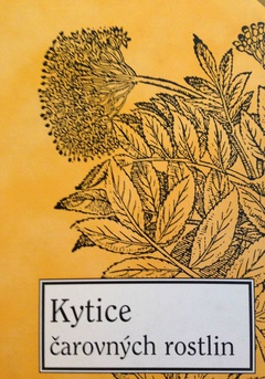 obálka: Kytice čarovných rostlin