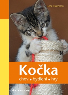 obálka: Kočka - chov, bydlení,  hry