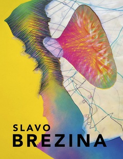 obálka: Slavo Brezina - monografia