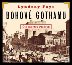 obálka: Bohové Gothamu - CDmp3 (Čte Martin Písařík)