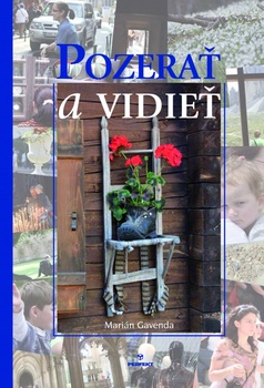 obálka: Pozerať a vidieť