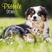 obálka: Přátelé 2016 - nástěnný kalendář