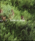 obálka: Book on Ahae