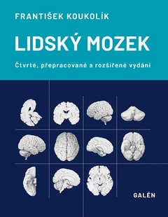 obálka: Lidský mozek