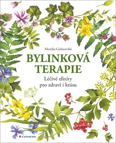 obálka: Bylinková terapie