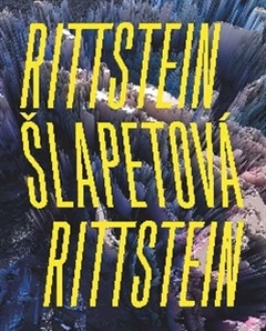 obálka: Rittstein / Šlapetová / Rittstein
