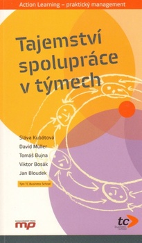 obálka: Tajemství spolupráce v týmech