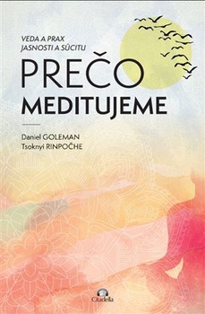 obálka: Prečo meditujeme
