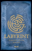 obálka: Labyrint