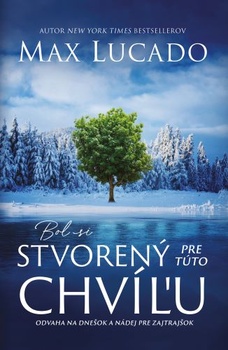 obálka: Bol si stvorený pre túto chvíľu