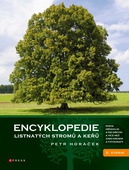 obálka: Encyklopedie listnatých stromů a keřů