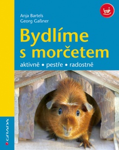 obálka: Bydlíme s morčetem - aktivně, pestře, radostně