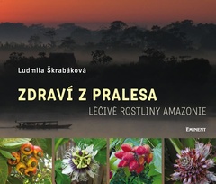 obálka: Zdraví z pralesa - Léčivé rostliny Amazonie