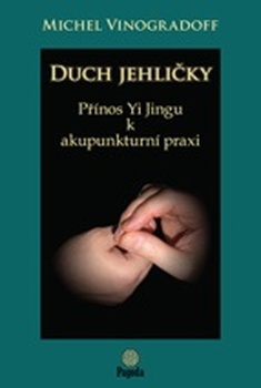obálka: Duch jehličky