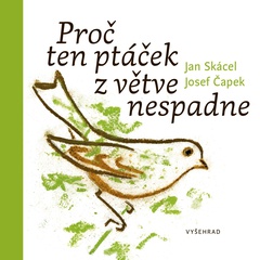 obálka: Proč ten ptáček z větve nespadne