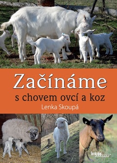obálka: Začínáme s chovem ovcí a koz