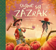 obálka: Stane sa zázrak