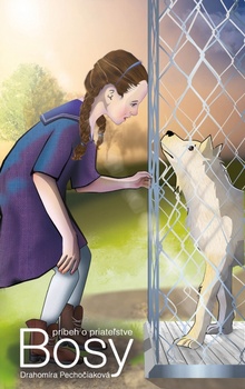 obálka: Bosy príbeh o priateľstve