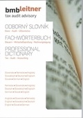 obálka: Odborný slovník  Dane - Audit - Účtovníctvo