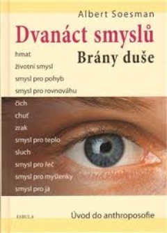 obálka: Dvanáct smyslů
