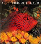 obálka: Splendors of the seas