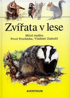obálka: Zvířata v lese
