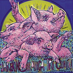 obálka: Jaromír Nohavica: Tři čuníci CD