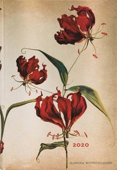 obálka: Diář Gloriosa Lily 2020 DAY