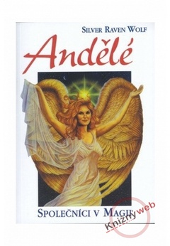 obálka: Andělé - Společníci v magii