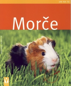obálka: Morče