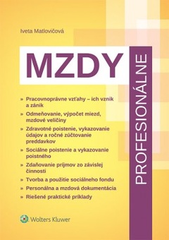 obálka: Mzdy profesionálne