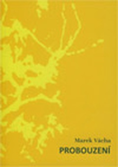 obálka: Probouzení