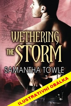 obálka: Mighty Storm 2 - Zkrocení bouřliváka