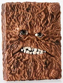 obálka: TAJNÝ DENNÍK