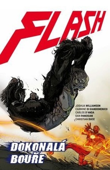 obálka: Flash 7 - Dokonalá bouře