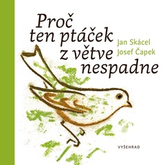 obálka: Proč ten ptáček z větve nespadne