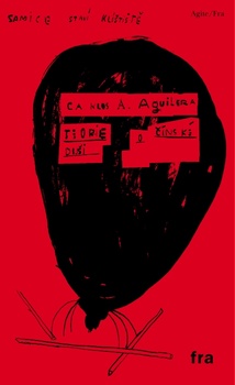 obálka: Teorie o čínské duši