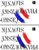obálka: Francouzsko-český / česko-francouzský slovník