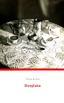 obálka: DVOJČATA