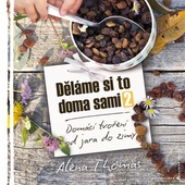 obálka: Děláme si to doma sami 2