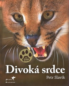 obálka: Divoká srdce