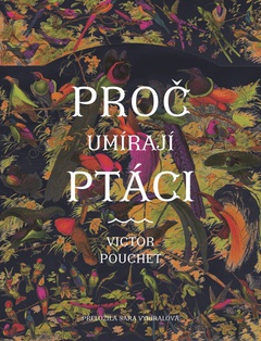 obálka: Proč umírají ptáci